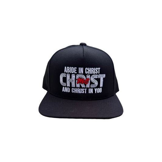 'Abide in Christ' Snapback Cap